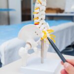 Adulte, aide, anatomique, anatomie, biologique, soins corporels, os, chiropraticien, clinique, colonne, cordon, diagnostic, médecin, éducation, équipement, examen, expertise, fémur, médicale, médecine, modèle, orthopédie, ostéopathe, ostéoporose